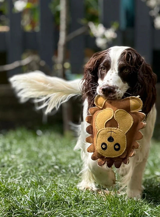 Horace Hedgehog - Eco Friendly Dog Toy