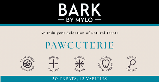 Pawcuterie Dog Treat Box