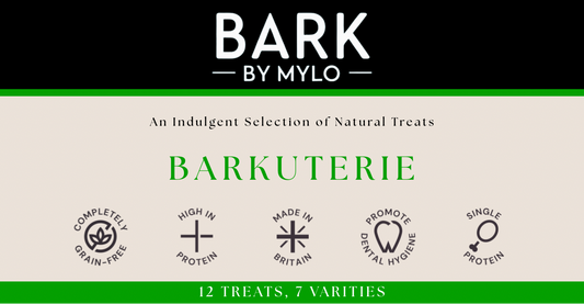 Barkuterie Dog Treat Box