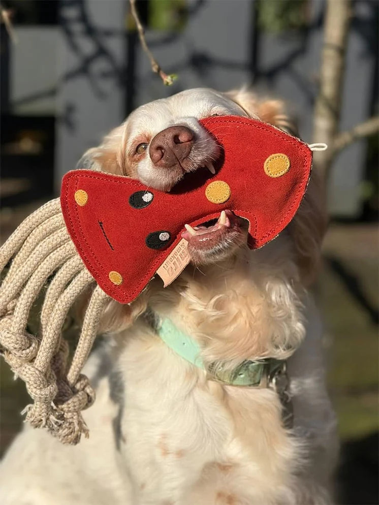 Scottie Squid - Eco Friendly Dog Toy