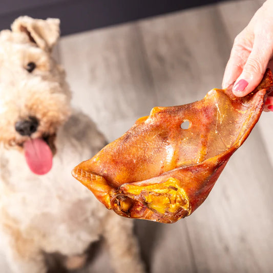 Sow Ear - Small
