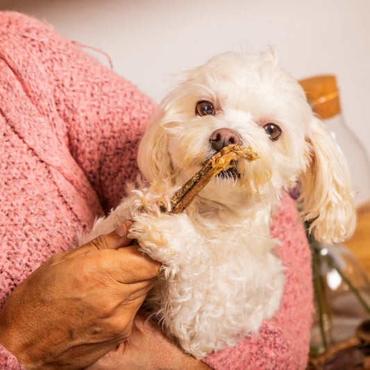 Tripe Sticks