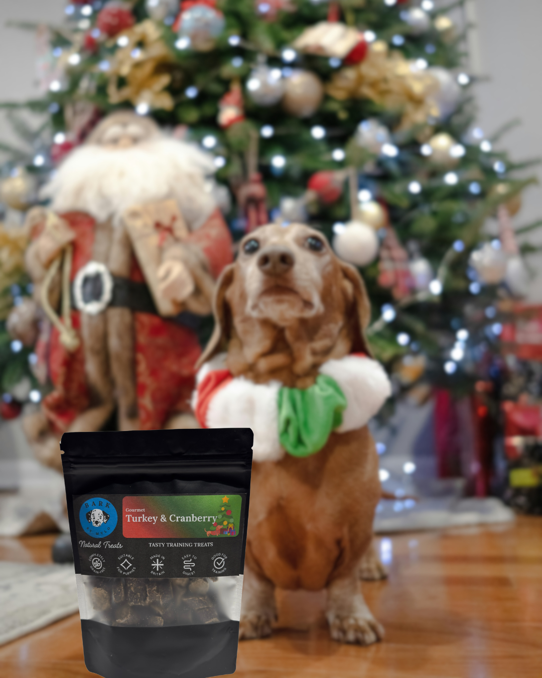 Turkey & Cranberry - 75g