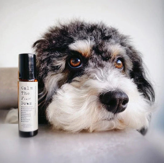 ‘Calm The Fluff Down’ Aromatherapy Rollerball 10ml