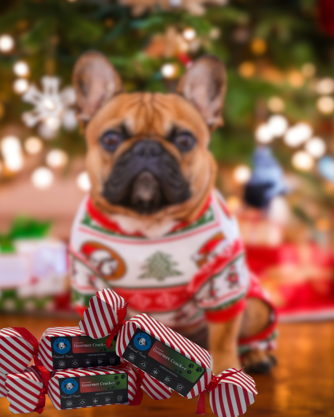 Gourmet Christmas Cracker