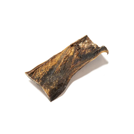 Camel Skin