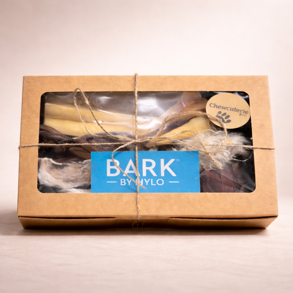 Mylo's Chewcuterie Dog Box