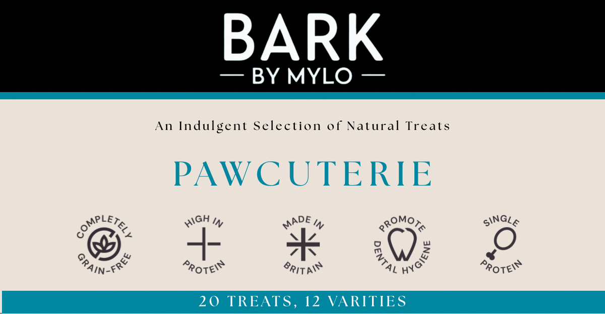 Pawcuterie Dog Treat Box