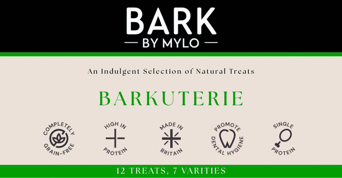 Barkuterie Dog Treat Box