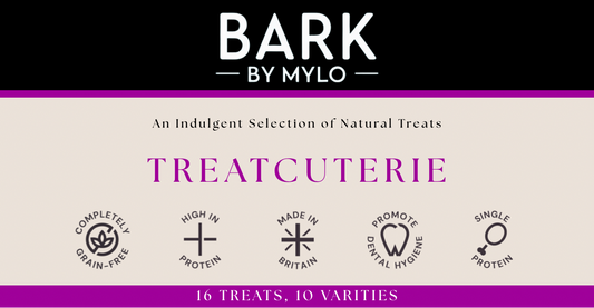 Treatcuterie Dog Treat Box