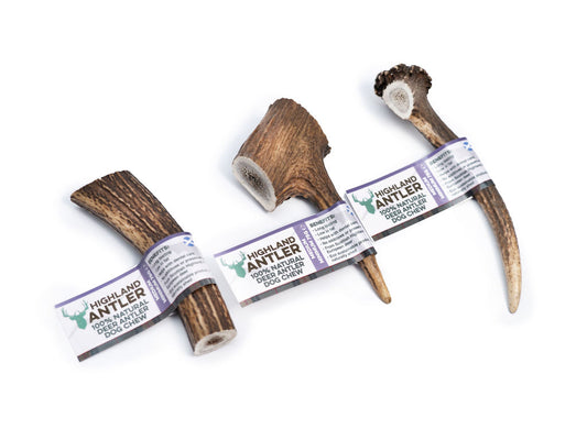 Highland Antlers