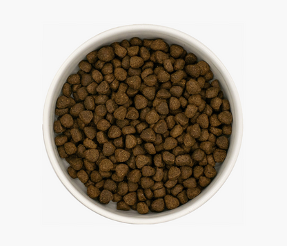 Angus Beef