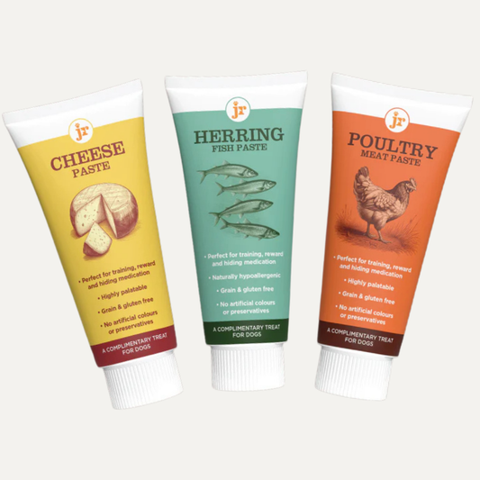 Premium Paste Variety Bundle