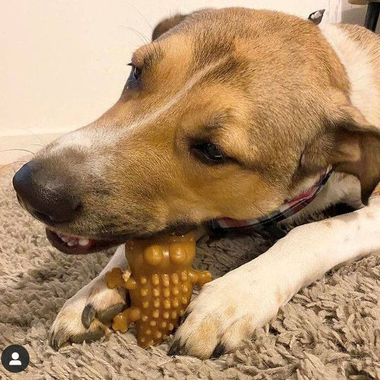 Vegan Peanut Butter Crocodiles