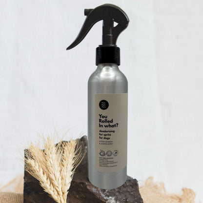 ‘You Rolled in What?’ Deodorising fur-spritz